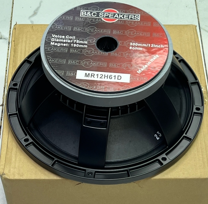 B&C Speakers-12Inches