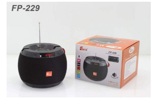 FP 229  Powerful Portable Wireless Speaker