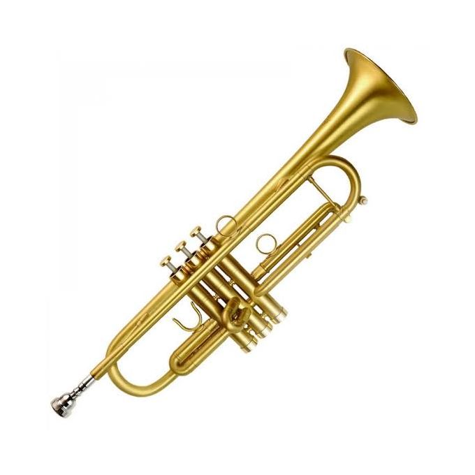 Main image of Professional Trumpet Silver Gold