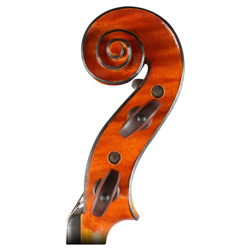 Professional  4/4 -  Solid wood Cello - Image 3